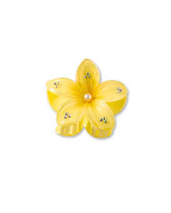 Brilla Flower Hairclip